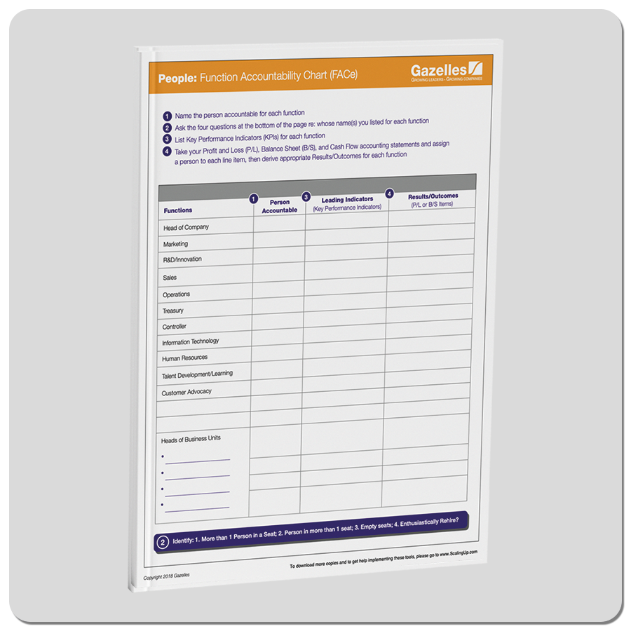 Function Accountability Chart (FACe tool)