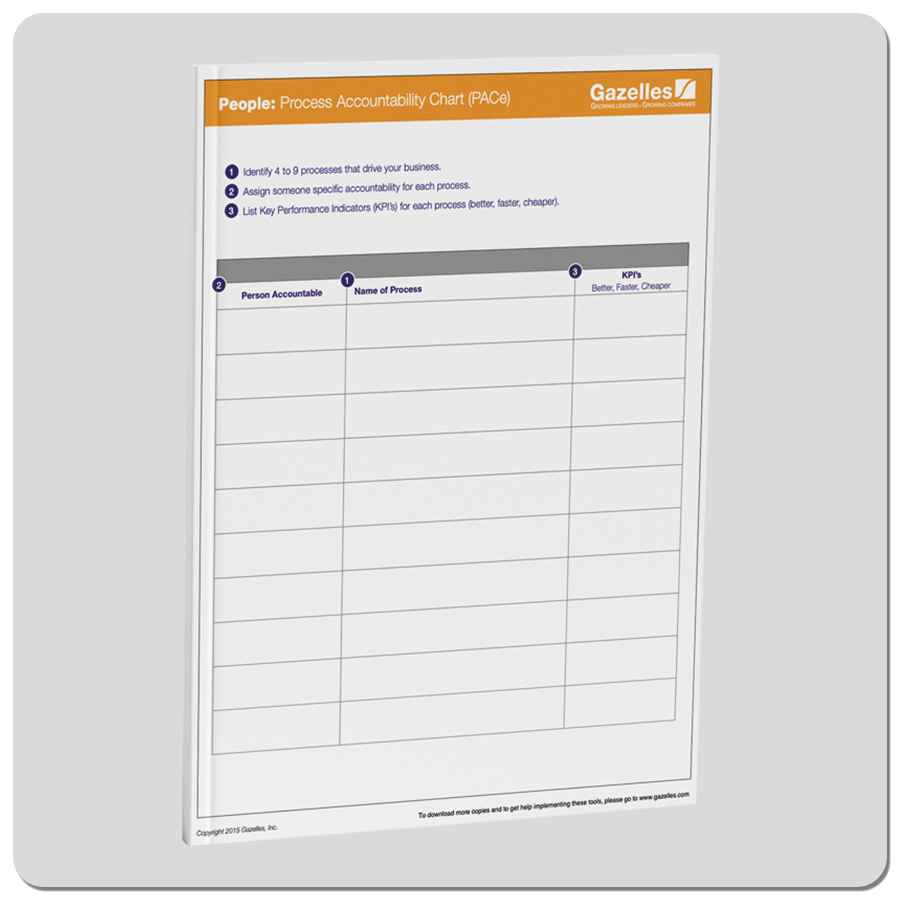 Process Accountability Chart (PACe tool)