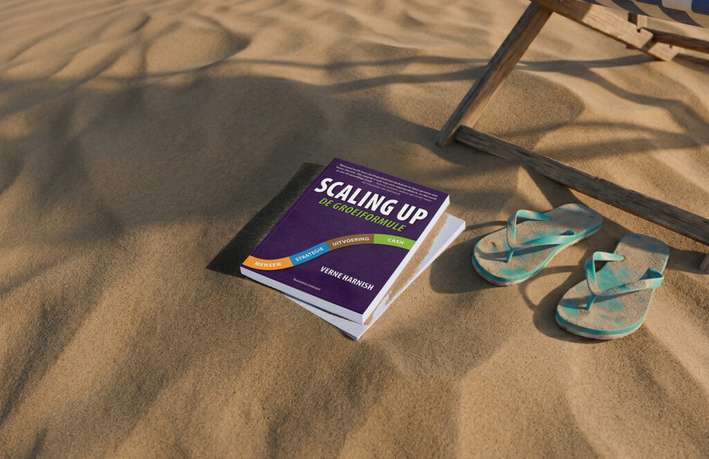 Uitgelichte afbeelding - Scaling Up Summer Boost